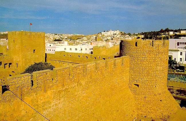 Chateau de mer et rempart de la medina
